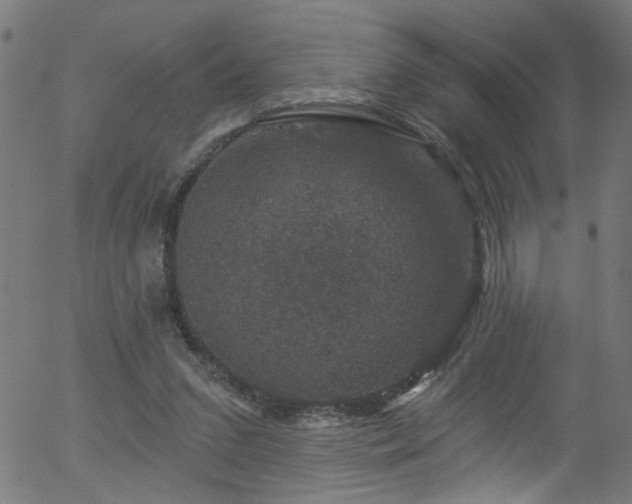 X0000056330207200508291301