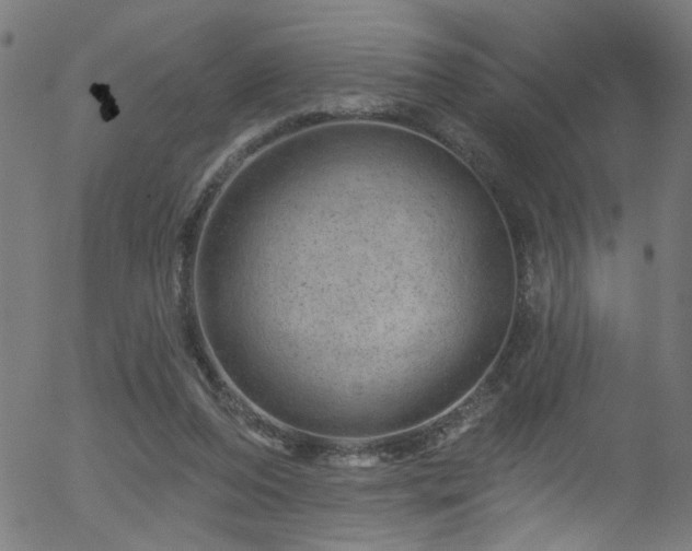 X0000056330208200508291301