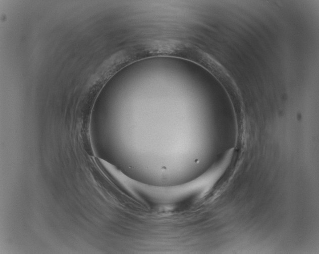 X0000056330209200508291300