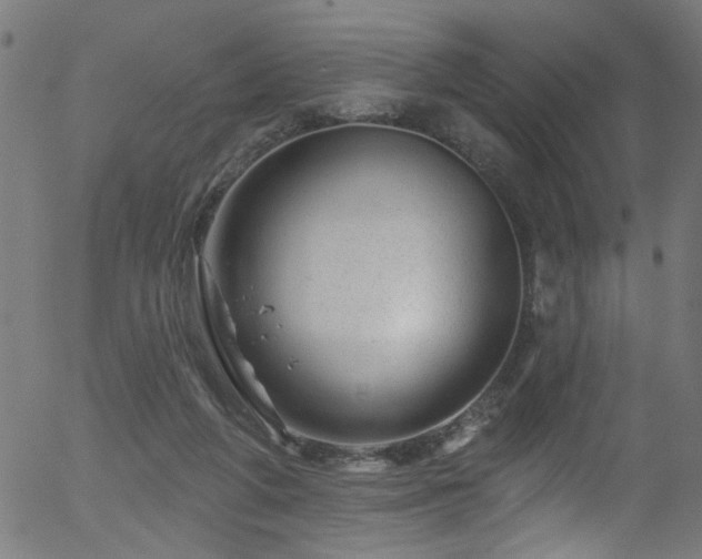 X0000056330210200508291300