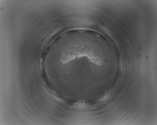 X0000056330211200508291300