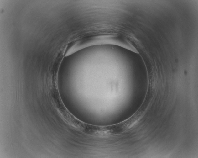 X0000056330213200508291300