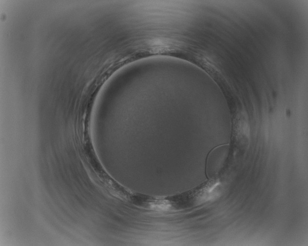 X0000056330214200508291300