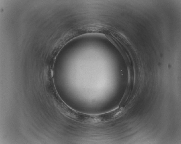 X0000056330217200508291300