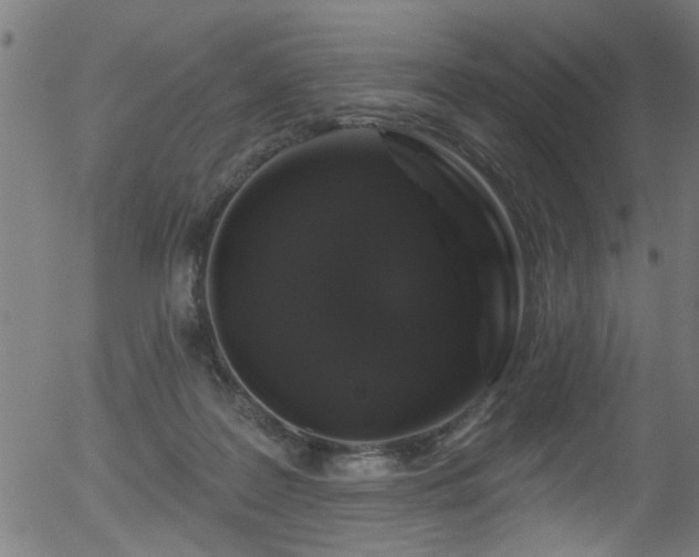 X0000056330219200508291300