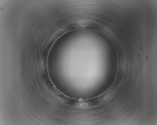 X0000056330220200508291300