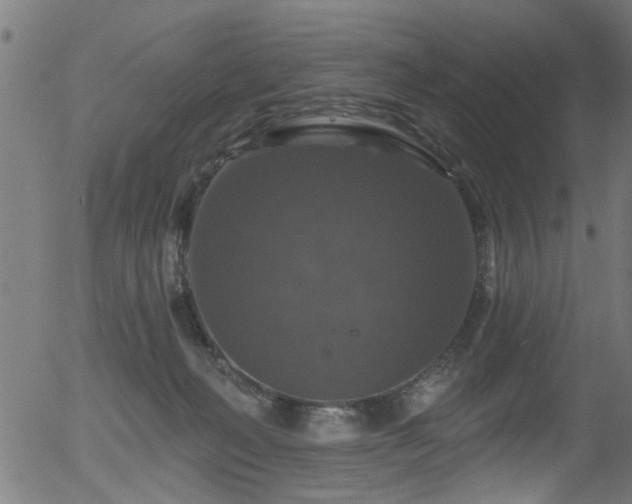 X0000056330222200508291300