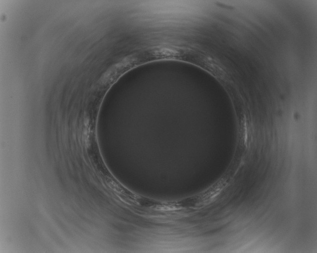 X0000056330223200508291300