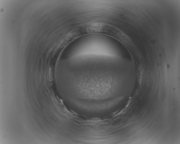 X0000056330224200508291300