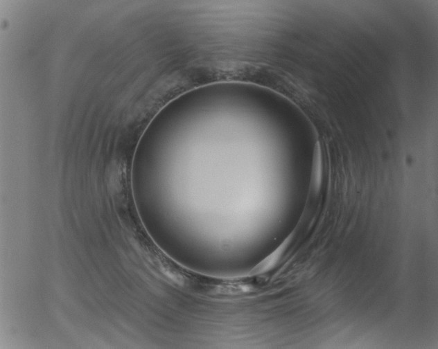 X0000056330225200508291300