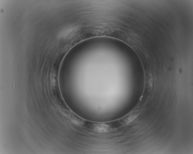 X0000056330226200508291300