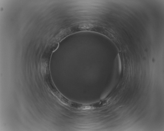 X0000056330227200508291300