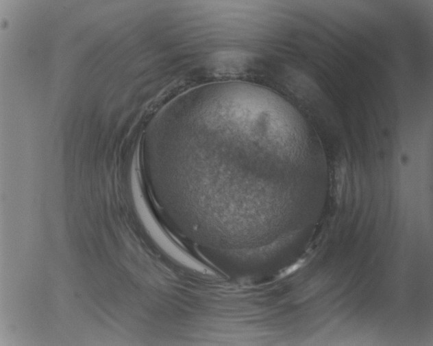 X0000056330228200508291300