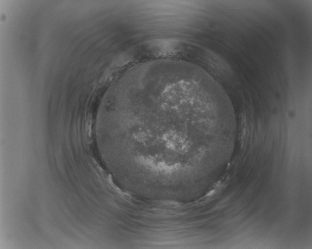 X0000056330230200508291300