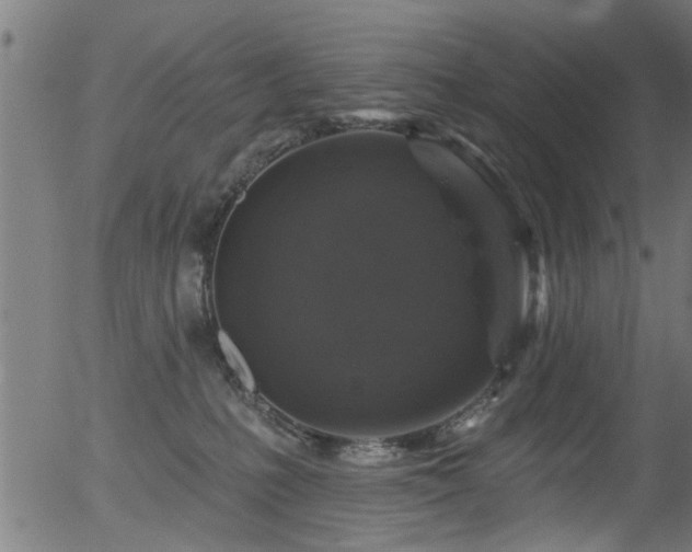 X0000056330231200508291300