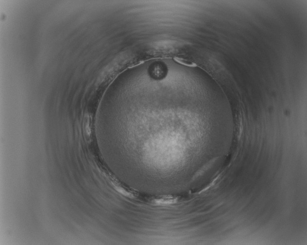 X0000056330232200508291300