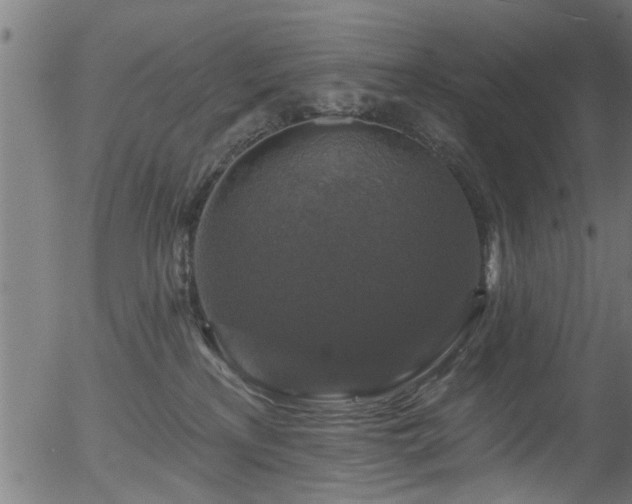 X0000056330233200508291300