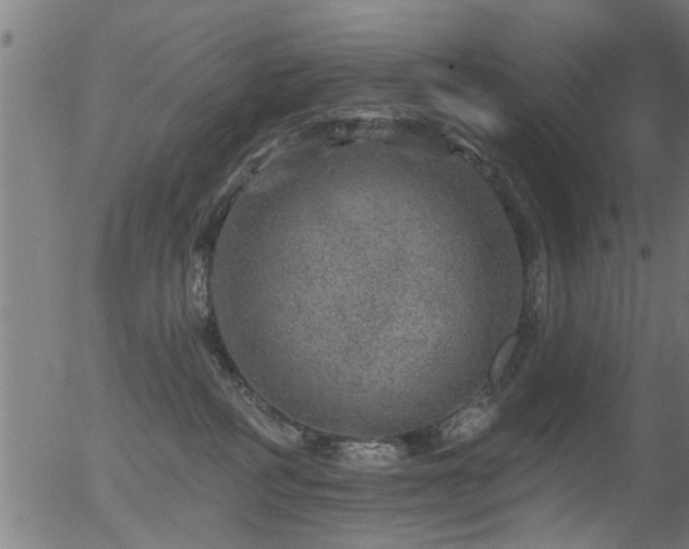 X0000056330234200508291300