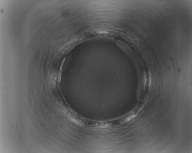 X0000056330235200508291300