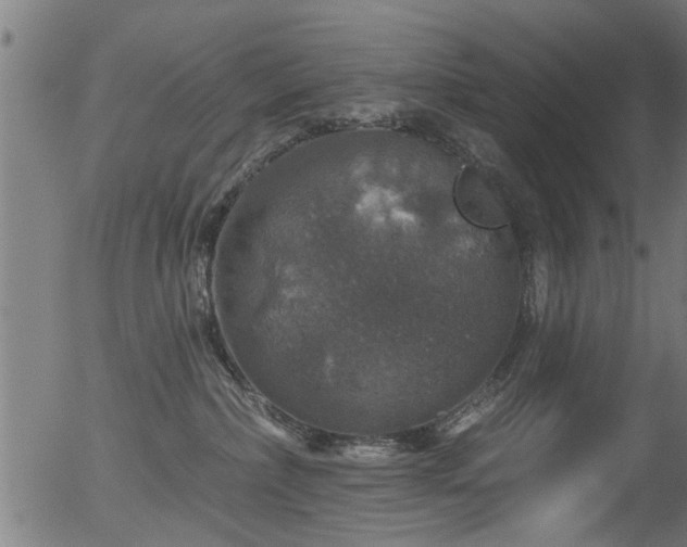 X0000056330236200508291300