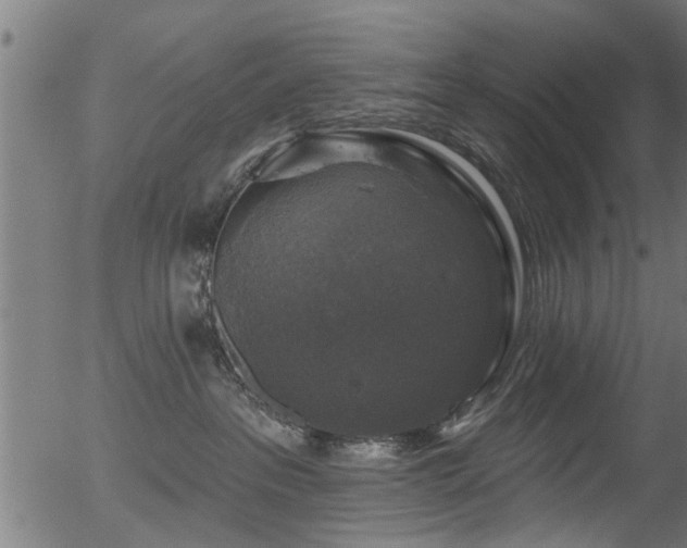 X0000056330237200508291300