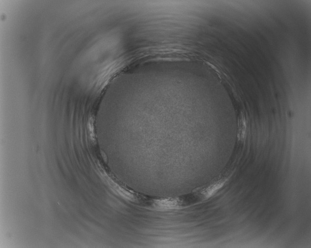 X0000056330238200508291300