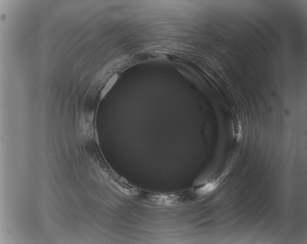 X0000056330239200508291300