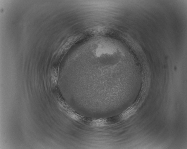 X0000056330240200508291300