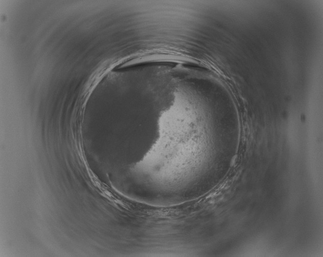 X0000056330241200508291259