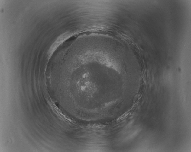 X0000056330242200508291259