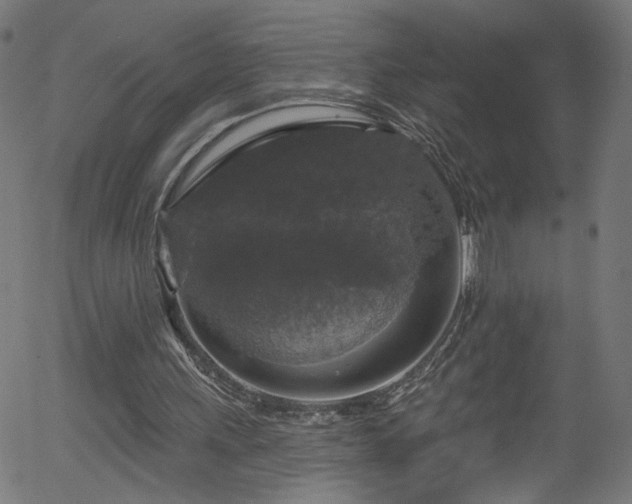 X0000056330243200508291259