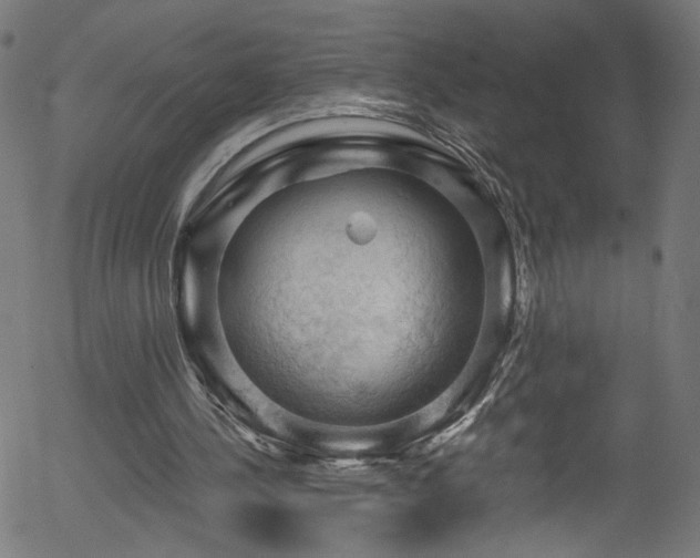 X0000056330244200508291259