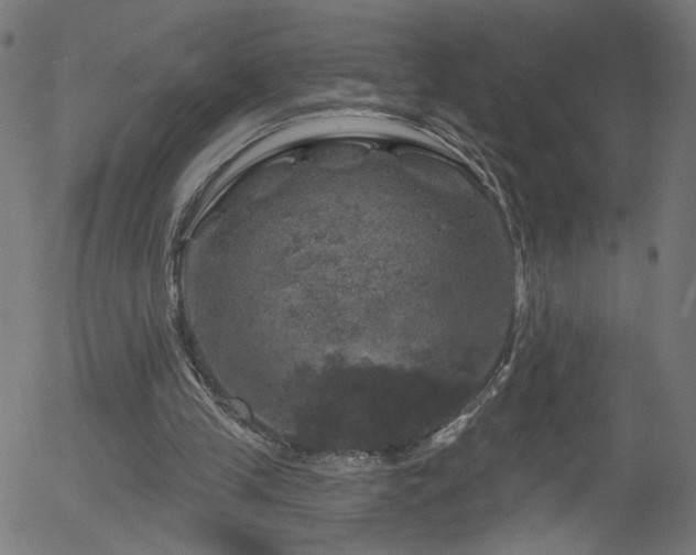 X0000056330245200508291259