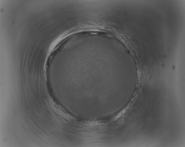 X0000056330246200508291259