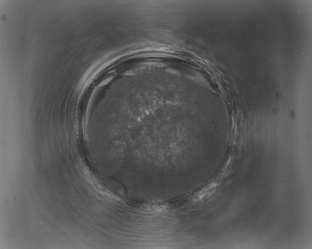 X0000056330247200508291259