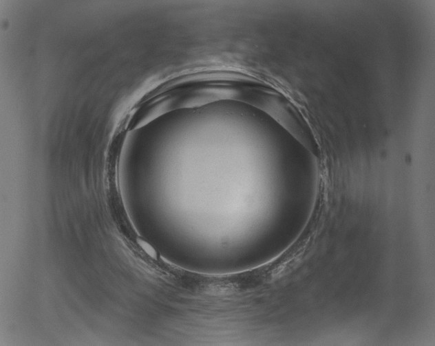 X0000056330248200508291259