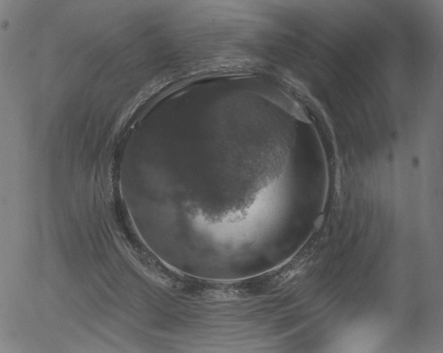 X0000056330250200508291259