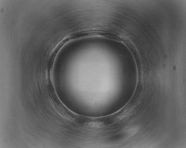 X0000056330251200508291259