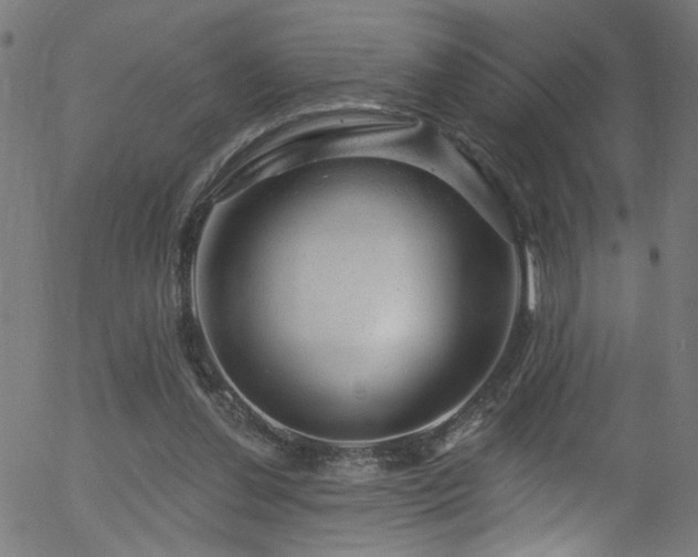 X0000056330252200508291259