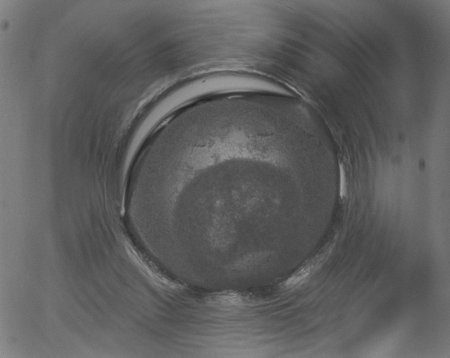 X0000056330253200508291259