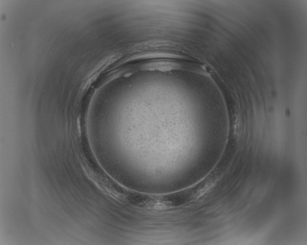 X0000056330254200508291259