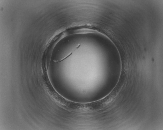 X0000056330256200508291259