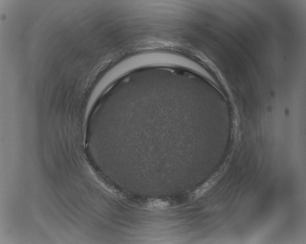 X0000056330257200508291259