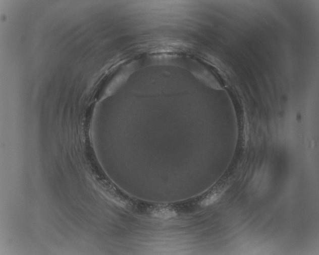 X0000056330258200508291259