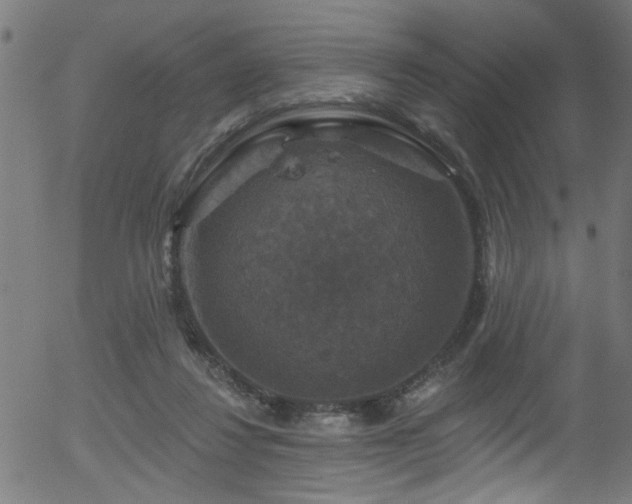 X0000056330260200508291259