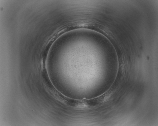 X0000056330262200508291300