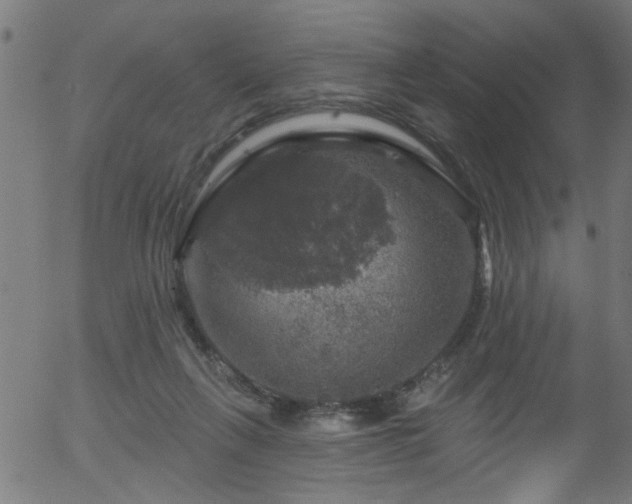 X0000056330263200508291300