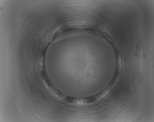 X0000056330264200508291300