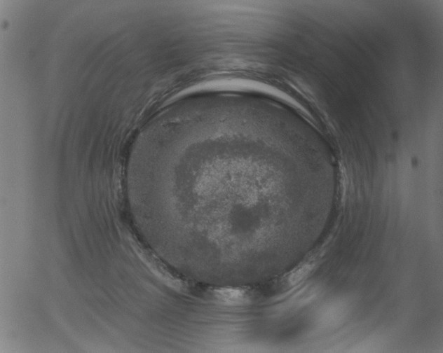 X0000056330265200508291300