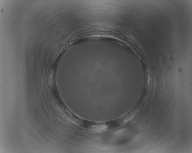 X0000056330266200508291300